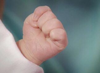 “The Palm Reader: Unlocking a Child’s Intelligence”