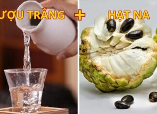 “The Surprising Benefits of Soaking Custard Apples in White Wine: A Tasty and Healthy Treat for the Whole Family”