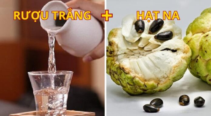 “The Surprising Benefits of Soaking Custard Apples in White Wine: A Tasty and Healthy Treat for the Whole Family”