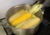 Should You Add Salt or Sugar When Boiling Young Corn? The Ultimate Guide to Delicious Corn.