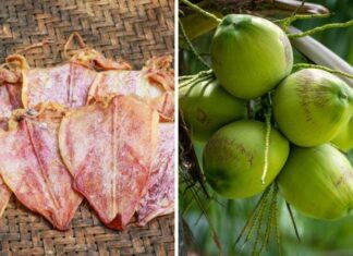 The Ultimate Guide to Coconut Steamed Dried Squid: A Delicious and Tender Treat for the Whole Family to Enjoy