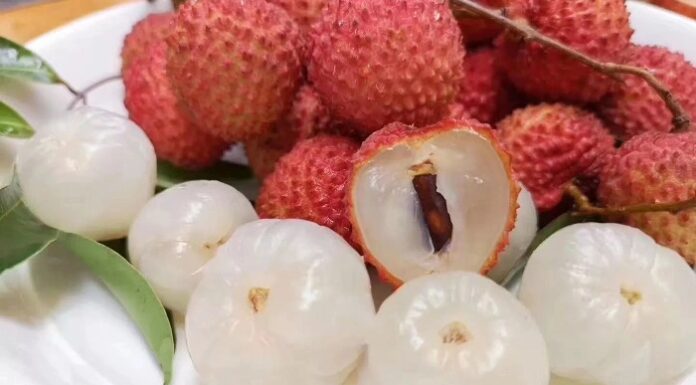 Is Bigger Always Better? The Ultimate Guide to Choosing the Perfect Fruit for Your Fabric.