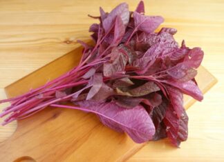 “The Immortal Vegetable: A Garden-Fresh Delight”.