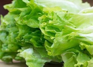 The Ultimate Superfood: A Tasty, Low-Calorie Surprise.