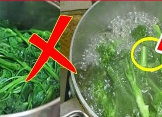 Deadly Mistakes When Boiling Water Spinach: Why Your Spinach Turns Black and Loses All Its Nutrition