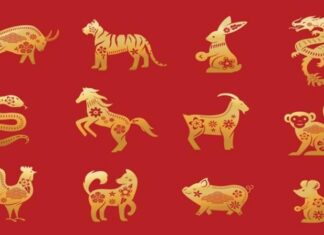 The Zodiac Race: A Legendary Sprint