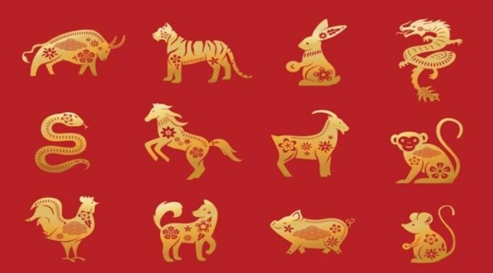 The Zodiac Race: A Legendary Sprint