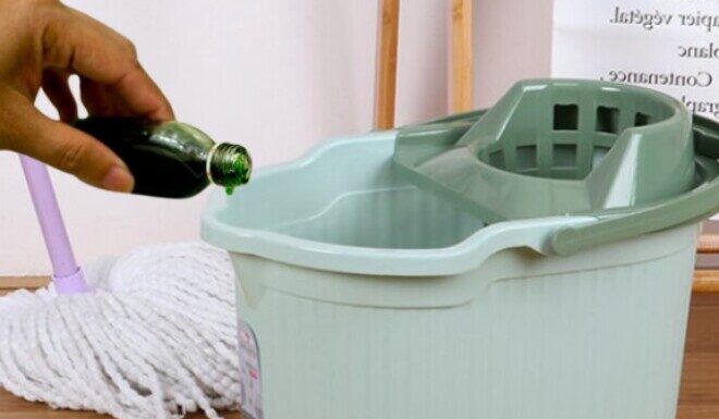 Why Add a Few Drops of Essential Oil to Your Floor Cleaner? It’s a Multitude of Benefits, and I’ve Only Just Discovered It!