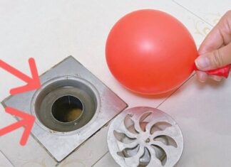 Why Do People Put a Balloon in the Toilet? It’s Due to These 2 Reasons.