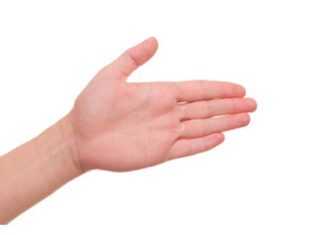 The Millionaire’s Palm: Unlocking the Secrets to Wealth and Prosperity.