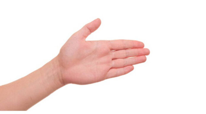 The Millionaire’s Palm: Unlocking the Secrets to Wealth and Prosperity.