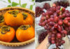 What Fruit is in Season in October? 9 Delicious Fruits at Their Peak.