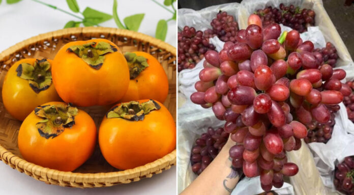 What Fruit is in Season in October? 9 Delicious Fruits at Their Peak.