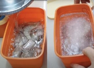 Preserving Shrimp: Don’t Freeze Them, Try This Method Instead for Fresh and Flavorful Results