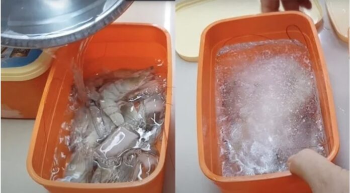 Preserving Shrimp: Don’t Freeze Them, Try This Method Instead for Fresh and Flavorful Results