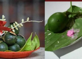 The Ultimate Guide to Buying Betel and Areca Nuts for Ancestor Worship: Uncover the Secret to Attracting Wealth and Prosperity