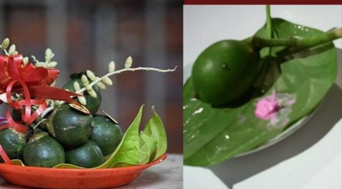 The Ultimate Guide to Buying Betel and Areca Nuts for Ancestor Worship: Uncover the Secret to Attracting Wealth and Prosperity