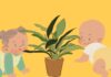“Beware: These Houseplants Are Toxic to Children”