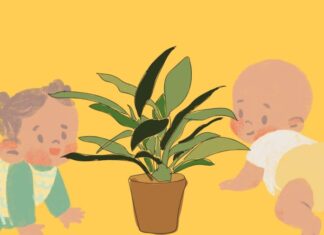 “Beware: These Houseplants Are Toxic to Children”