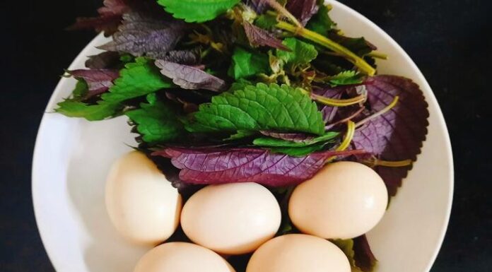 The Ultimate Guide to Egg-cellent Adventures: Beyond Green Onion, Discover the Perfect Leafy Partners for a Tasty and Nutritious Treat