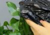 The Magic of Plastic Bags: Unveiling the Surprising Secret to Flourishing Flora