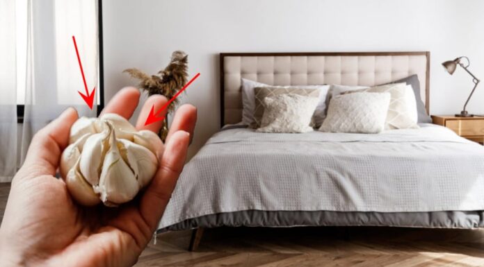 Why Keep Garlic by Your Bedside? The Surprising Benefits for Both Men and Women.