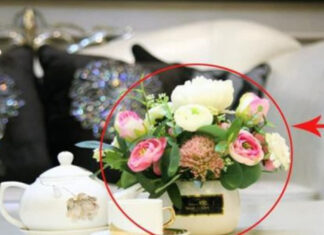 The Coffee Table Conundrum: Unlocking Wealth and Prosperity by Placing It in the Right Spot