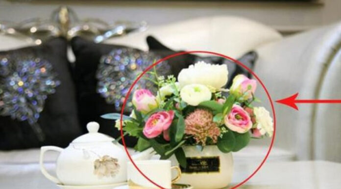 The Coffee Table Conundrum: Unlocking Wealth and Prosperity by Placing It in the Right Spot