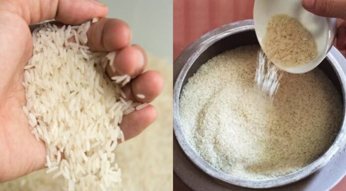 The Ultimate Guide to the ‘Golden’ Rice Jar Placement: Supercharge Your Wealth and Invite Abundance Home