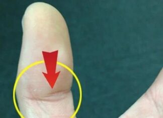 The Luckiest of Them All: An Extraordinary Life of Good Fortune and Blessings Unfolds for the Owner of This Fingerprint