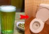 The Magic Potion: Pour Beer into Your Toilet and Save a Fortune!