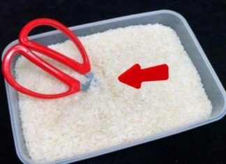 The Secret to Rice Perfection: A Tailor’s Twist