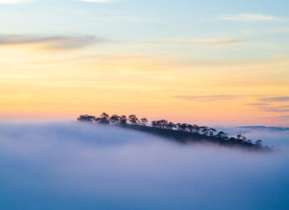 Chasing the Morning Mist on the Three Hills of Dalat