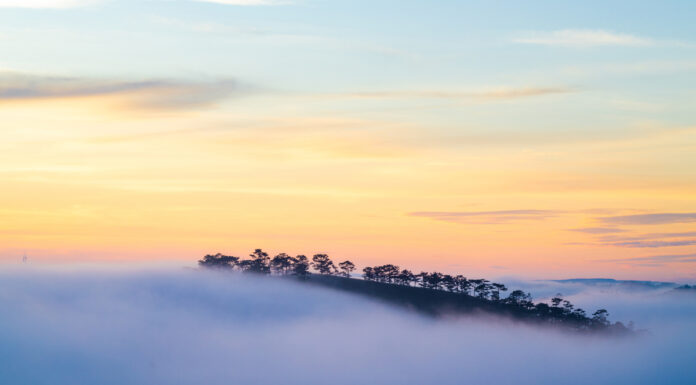 Chasing the Morning Mist on the Three Hills of Dalat