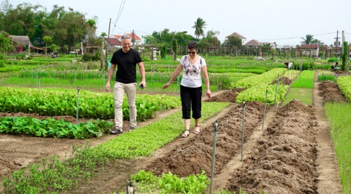 The Charming Allures of Vietnam’s Third ‘Best Tourism Village in the World’