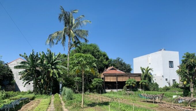 The Coffee Triangle: Exploring the Beans Around ‘The World’s Best Tourism Village’