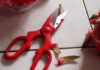 The Scissors’ Superstition: Unsheathed in These 3 Spots, Bad Luck May Ensue