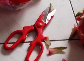 The Scissors’ Superstition: Unsheathed in These 3 Spots, Bad Luck May Ensue