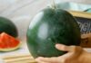 The Watermelon Paradox: Why the Sweetest Fruit is Taboo on Altars