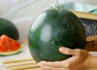The Watermelon Paradox: Why the Sweetest Fruit is Taboo on Altars