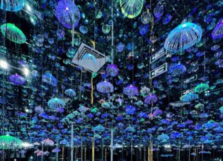 The Ultimate Guide to the Hottest New Hangout in Hanoi: A Must-Visit for All Aspiring Influencers