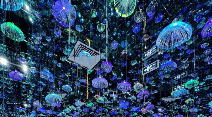 The Ultimate Guide to the Hottest New Hangout in Hanoi: A Must-Visit for All Aspiring Influencers