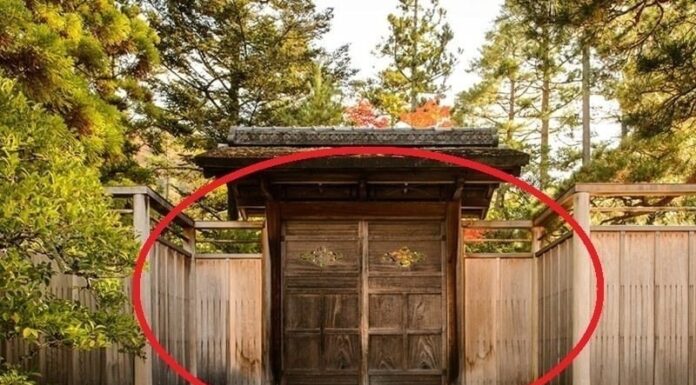 The Ancient Wisdom to Heed: “A House with Two Doors Brings Turmoil to Both People and Possessions” – Unraveling the Adage