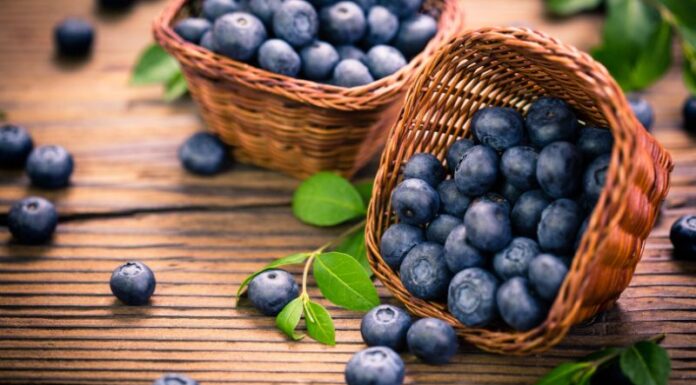 7 Summer Superfoods for Natural Blood-Flow and Stroke Prevention