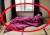 Why Do Most Japanese Sleep on the Floor? They’re Smarter Than You Think