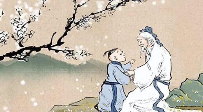 The Ancient Wisdom: “Despite Any Hardship, Never Cut Down These 3 Trees, For They Bring Great Fortune and Prosperity to Future Generations.”