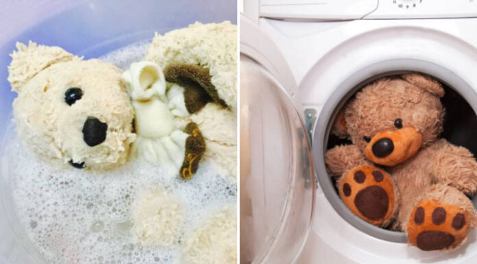 The Ultimate Guide to Washing Oversized Teddy Bears