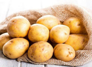 The Ultimate Guide to Storing Vegetables and Fruits: Keep Your Produce Fresh for Months