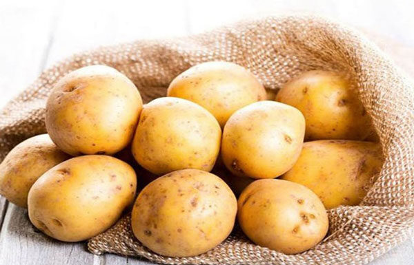 The Ultimate Guide to Storing Vegetables and Fruits: Keep Your Produce Fresh for Months