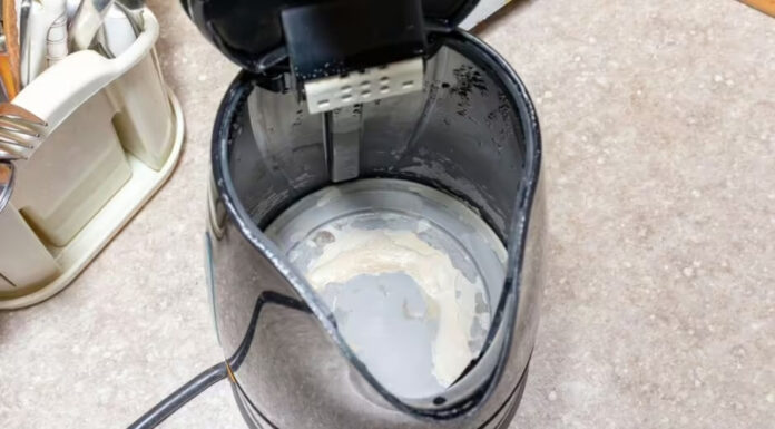 The Ultimate Guide to Descaling Your Kettle with a Kitchen Ingredient that Won’t Break the Bank